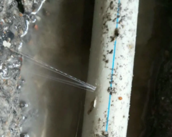 龙港卫生间测漏水多少钱
