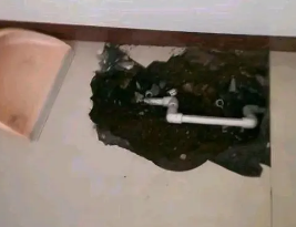龙港卫生间测漏水多少钱