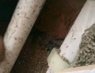 龙港卫生间测漏水哪家好